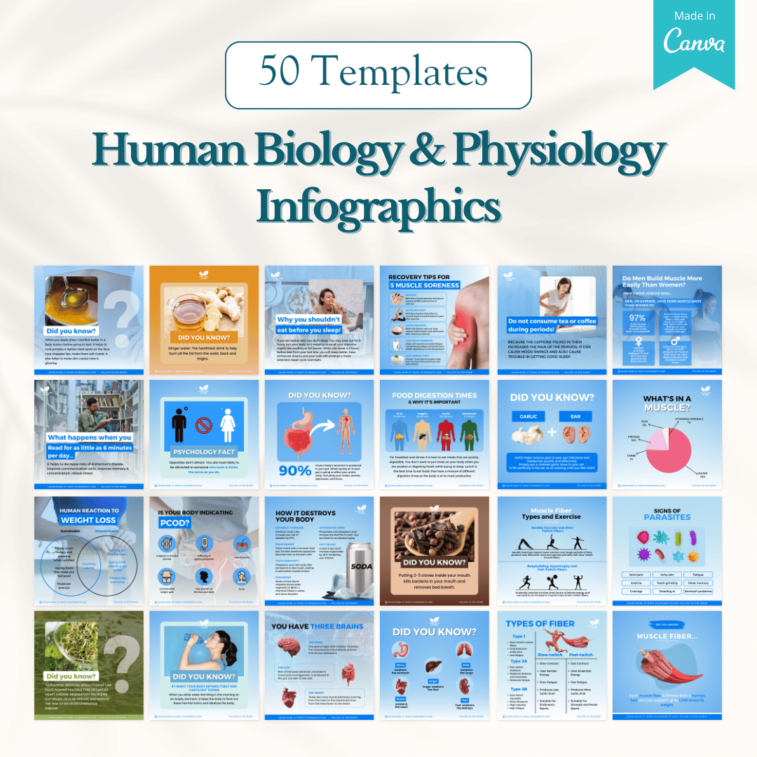 2000+ Fitness, Nutrition & Health Bundle - Social Media Templates