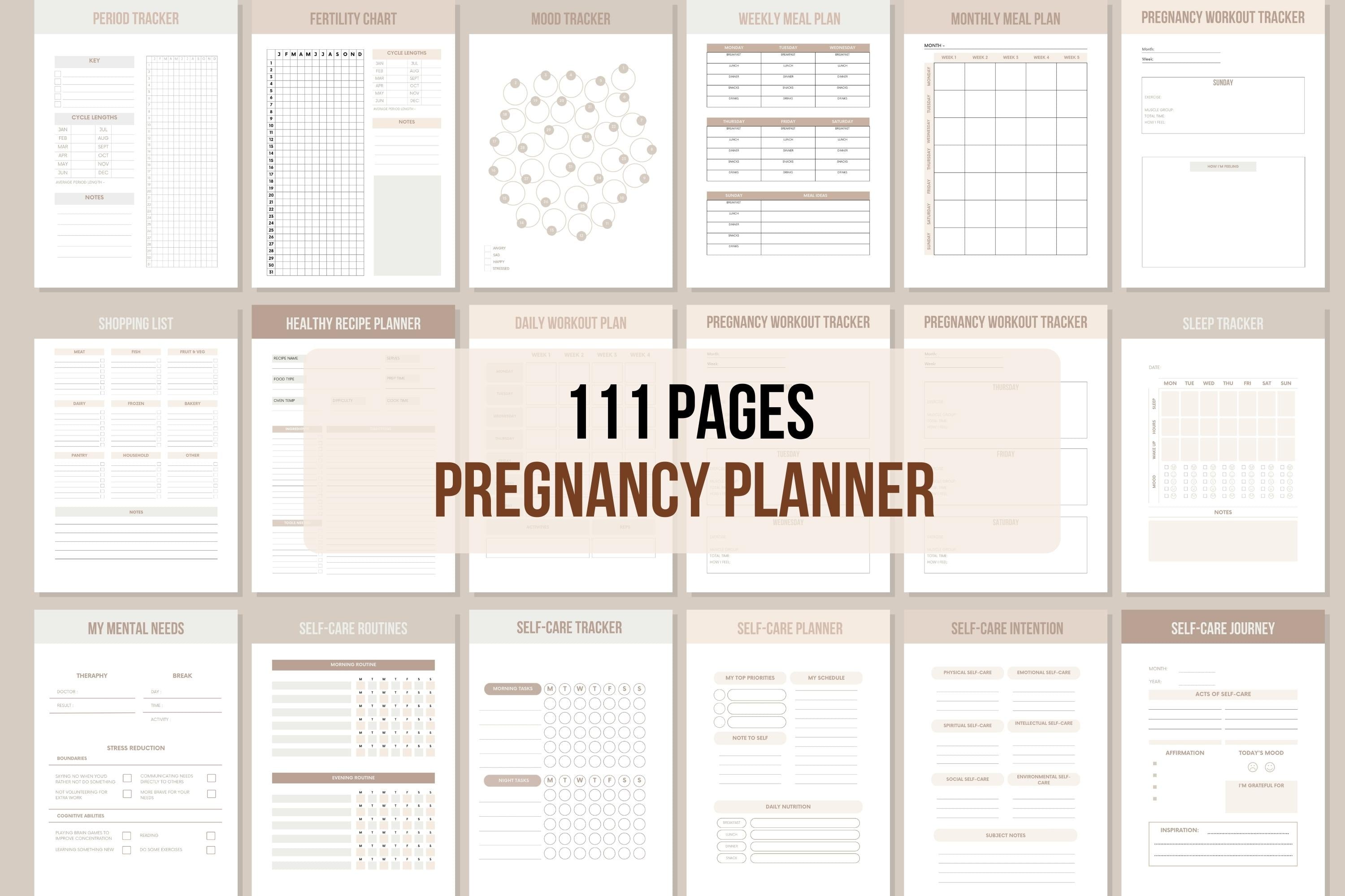 My Pregnancy Planner - 111 Pages