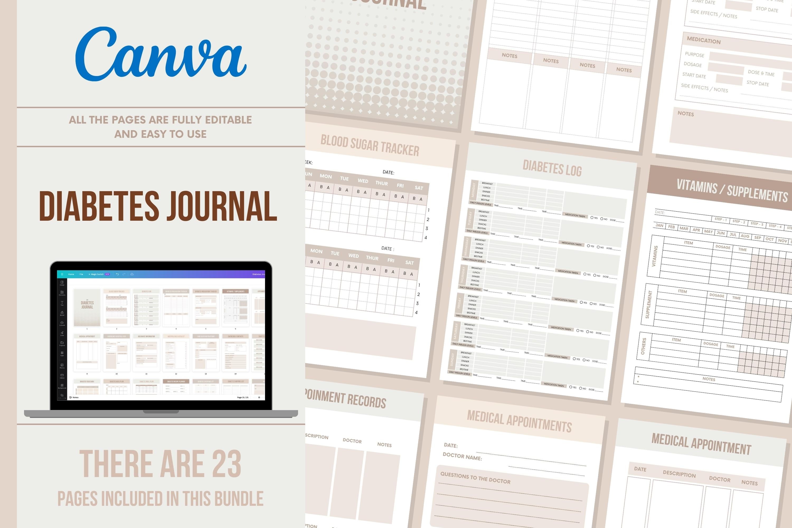 Diabetes Journal - 23 Pages