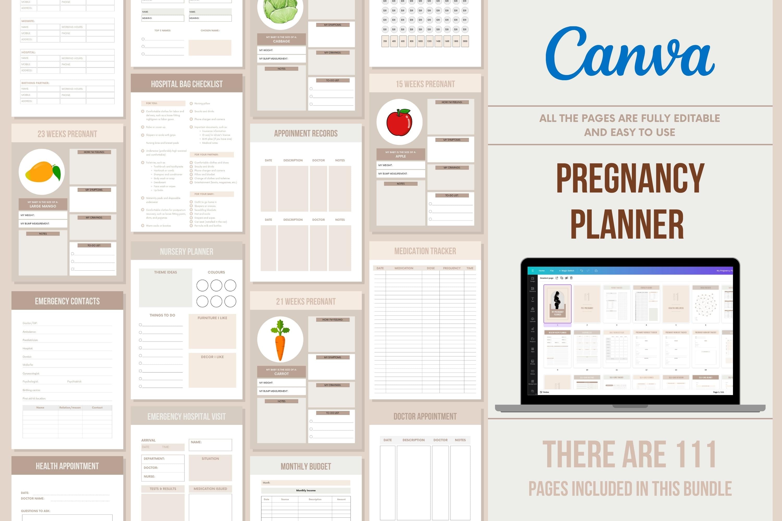 My Pregnancy Planner - 111 Pages